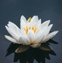 Длинный туннель Вашего восьмого дома
